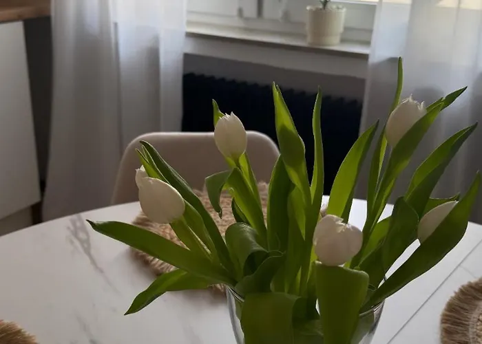 דירה R ווינטרברג